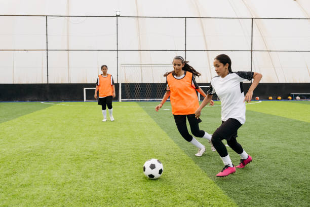 的自我完善 的自我完善